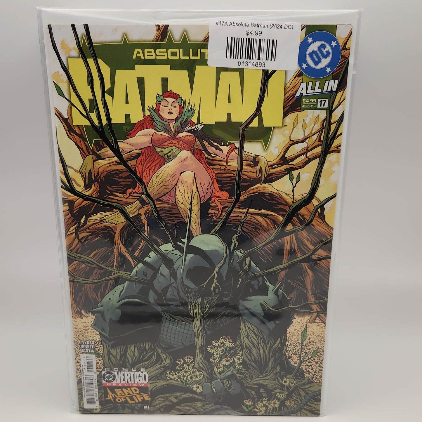 #17A Absolute Batman (2024 DC)