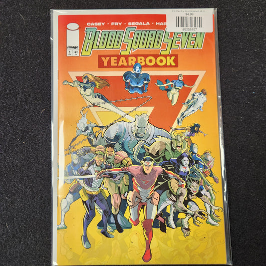 #1A (Paul Fry) BLOOD SQUAD SEVEN YEARBOOK (MR)