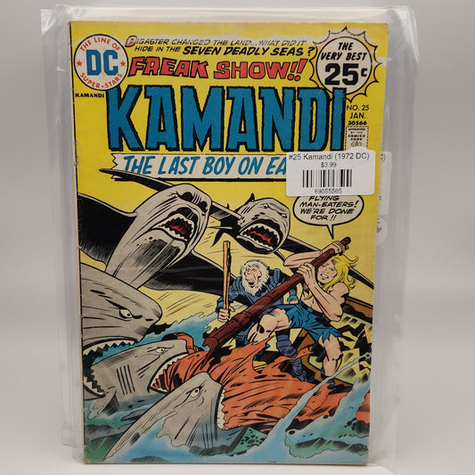 #25 Kamandi (1972 DC)
