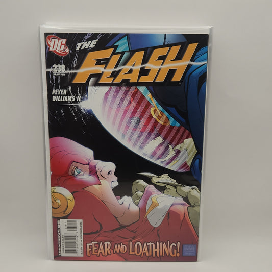 #238 - Flash (1987 2nd Series)