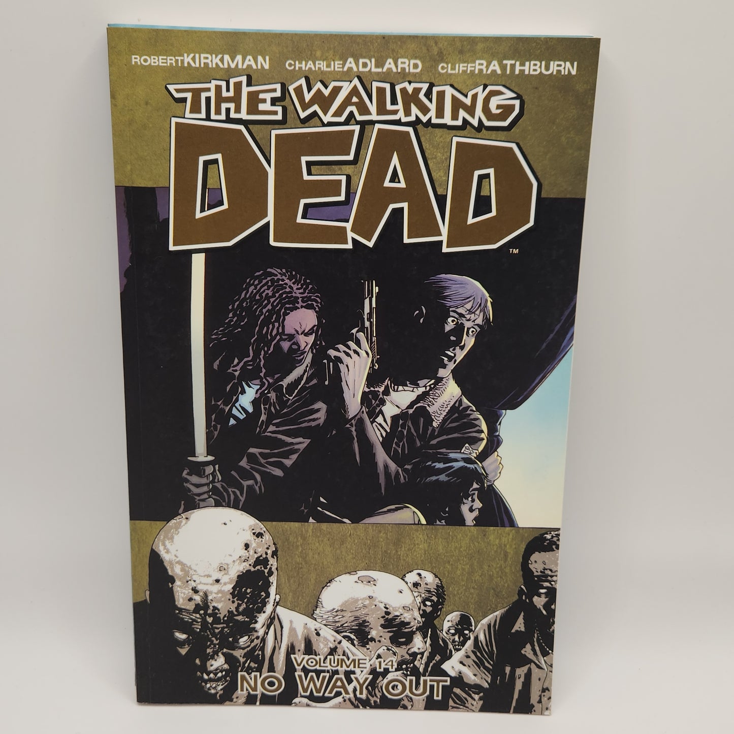 #14 Walking Dead TPB (2004-2019 Image)