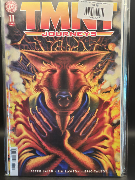 #11A (Dooney) TMNT: Journeys (Dooney & Lawson)