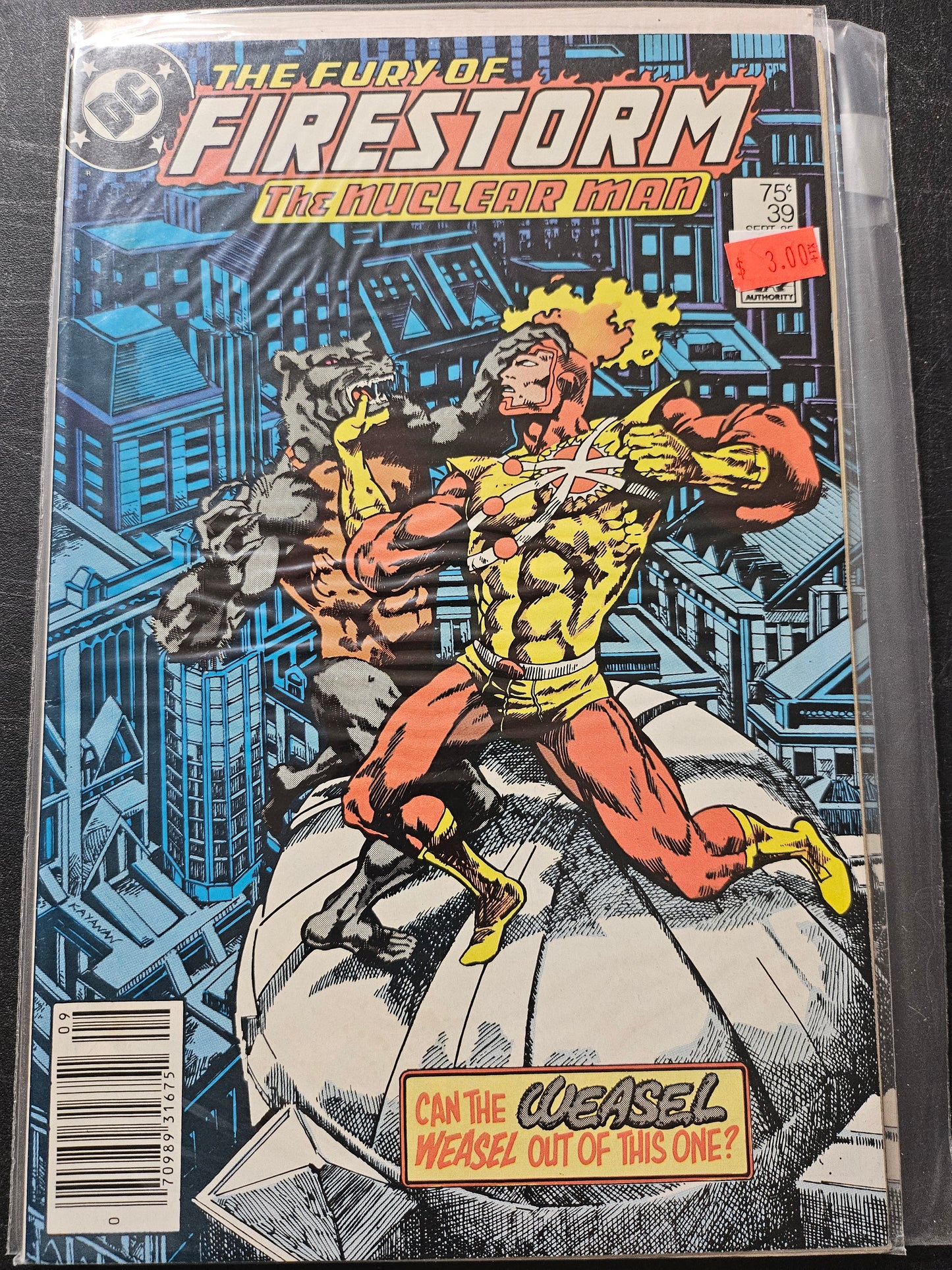 104.127 – #39 - Fury of Firestorm -1982-87