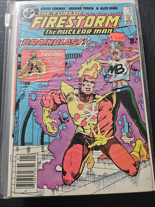 104.119 – #31 - Fury of Firestorm -1982-87