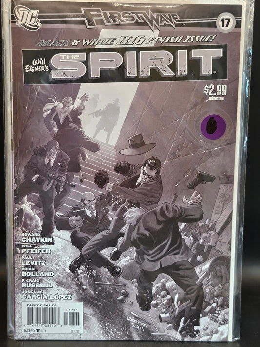 #17 Spirit (2010 DC)