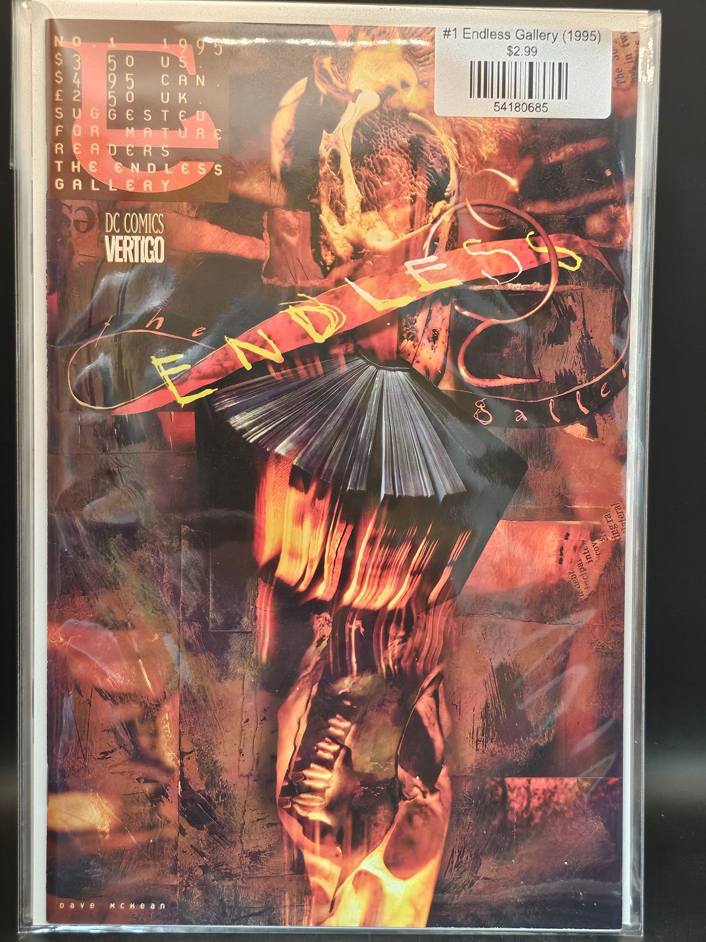 #1 Endless Gallery (1995)