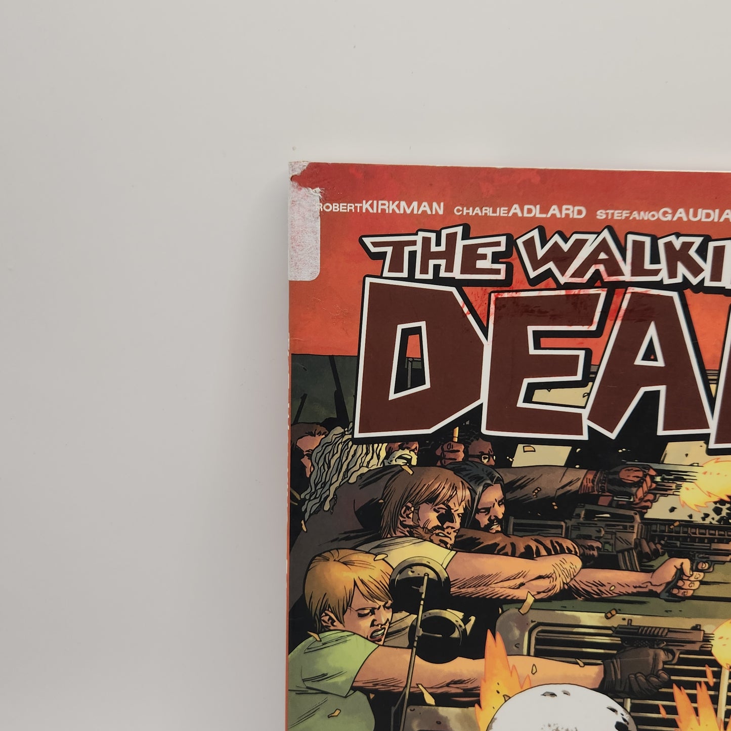 #20 Walking Dead TPB (2004-2019 Image)