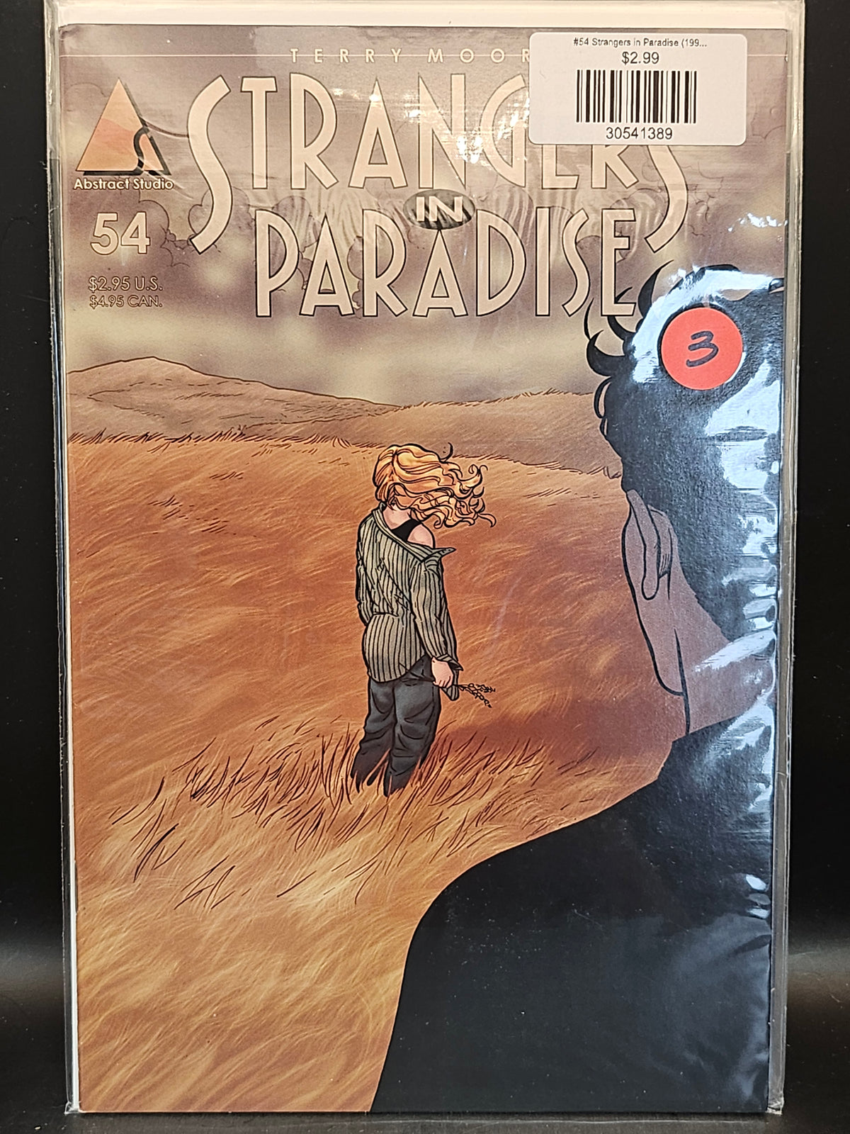 #54 Strangers in Paradise (1996 Homage/Abstract)
