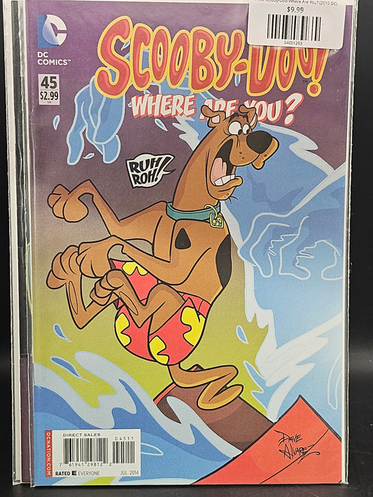#45d Scooby-Doo Where Are You? (2010 DC)