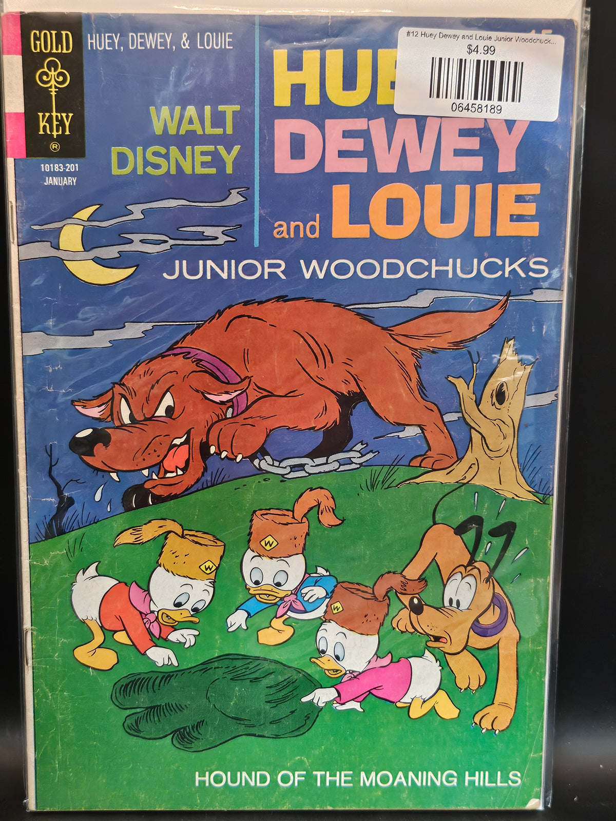 #12 Huey Dewey and Louie Junior Woodchucks (1966 Gold Key)