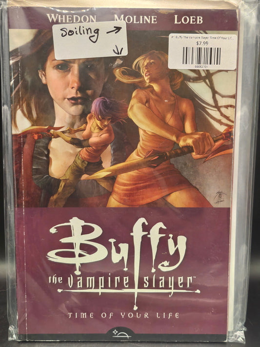 #1 Buffy The Vampire Slayer Time Of Your Life TPB