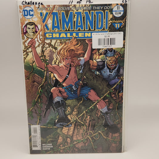 #11A Kamandi Challenge (2017 DC)