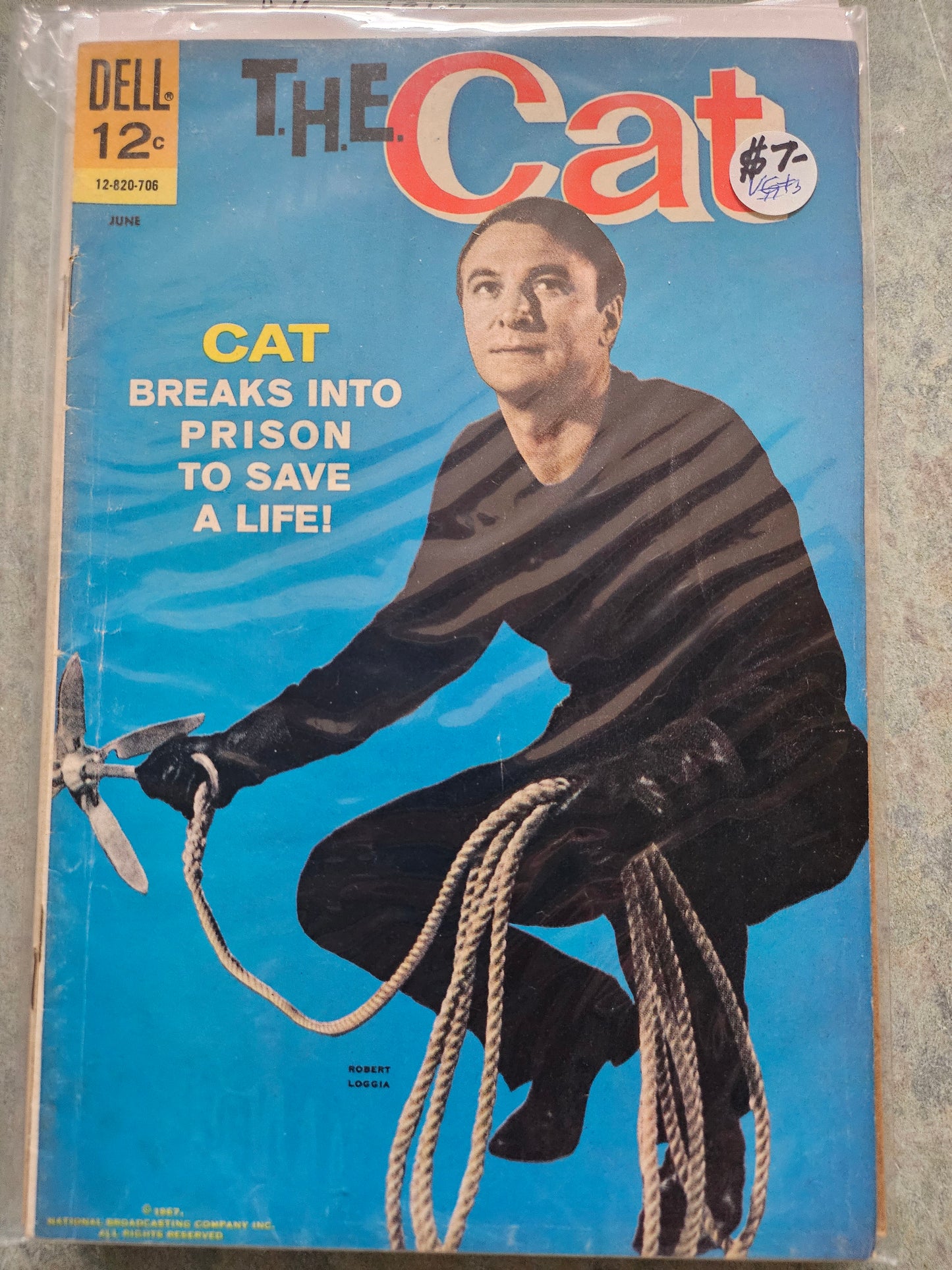 100.100 – T.H.E. Cat - #3