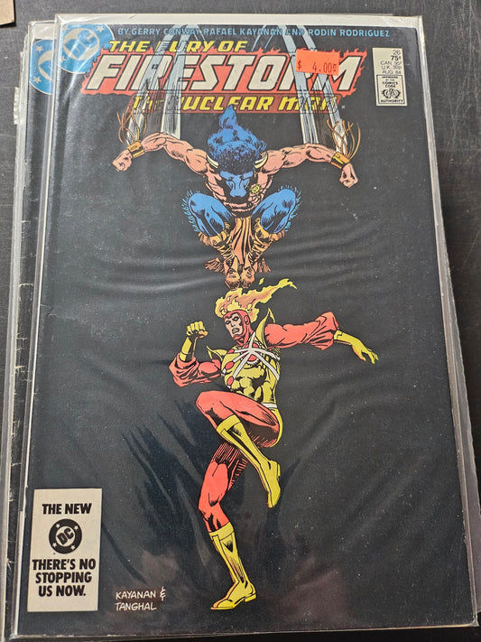 104.115 – #26 - Fury of Firestorm -1982-87