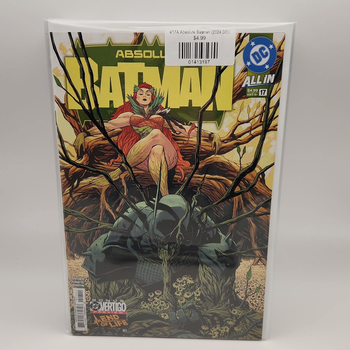 #17A Absolute Batman (2024 DC)