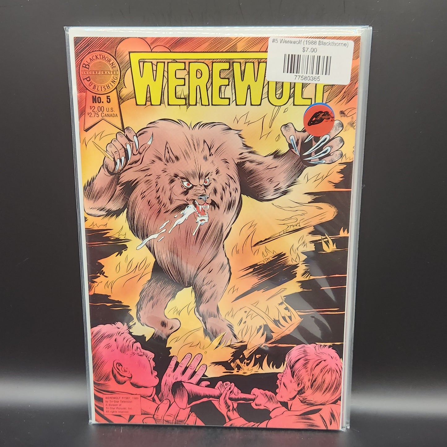 #5 Werewolf (1988 Blackthorne)