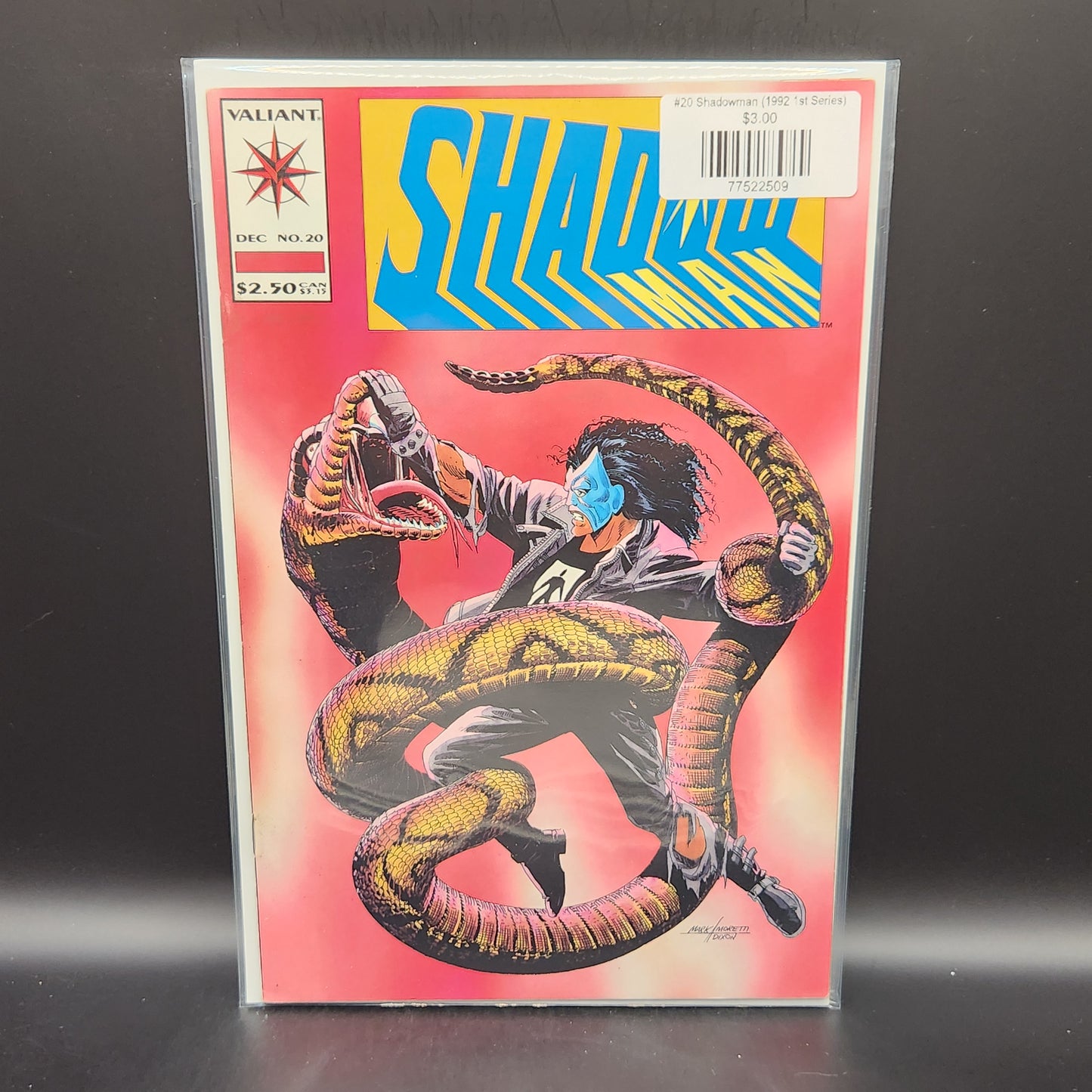 #20 Shadowman (1992 1st Series)