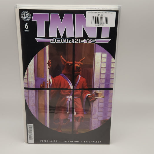#6A Teenage Mutant Ninja Turtles Journeys (2025 IDW)