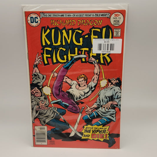#13 Richard Dragon Kung Fu Fighter (1975)