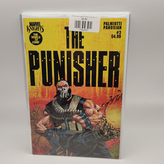 #3A Marvel Knights Punisher (2025 Marvel)