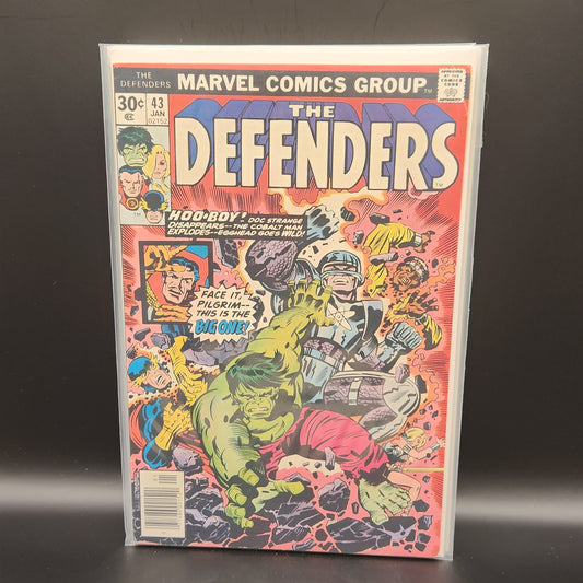 #43 Defenders (1972 1st Series)