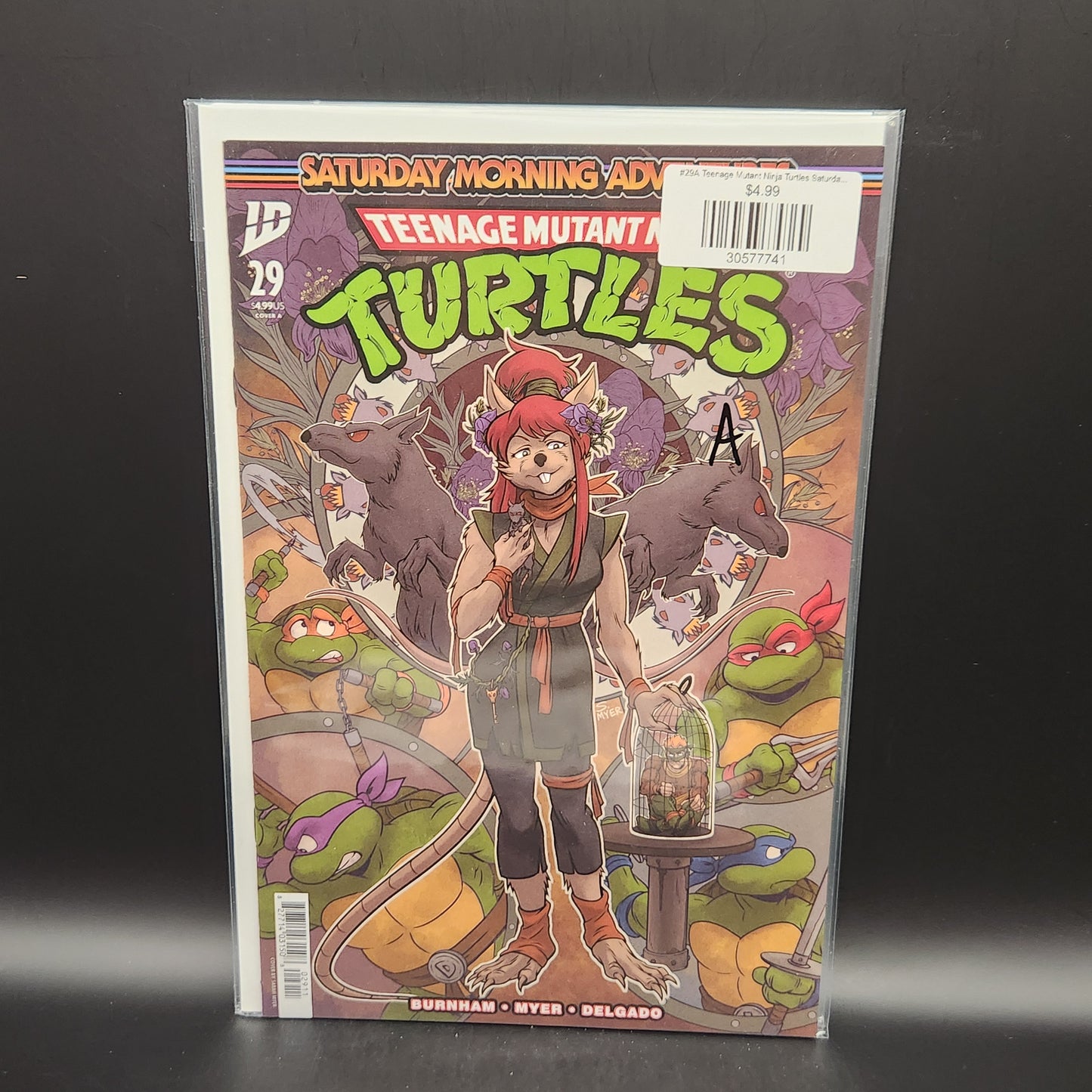 #29A Teenage Mutant Ninja Turtles Saturday Morning Adventures (2023 IDW)
