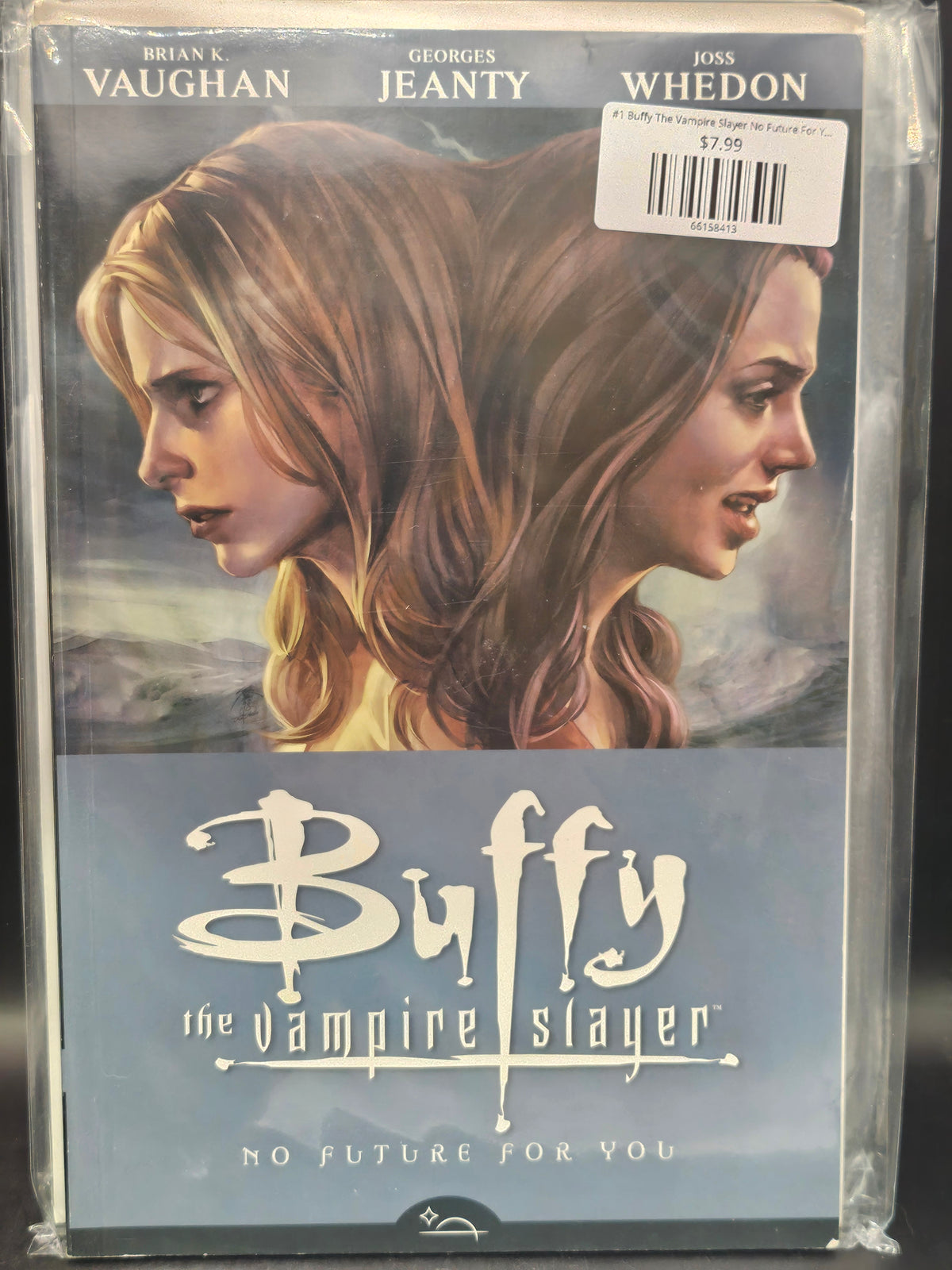 #1 Buffy The Vampire Slayer No Future For You TPB