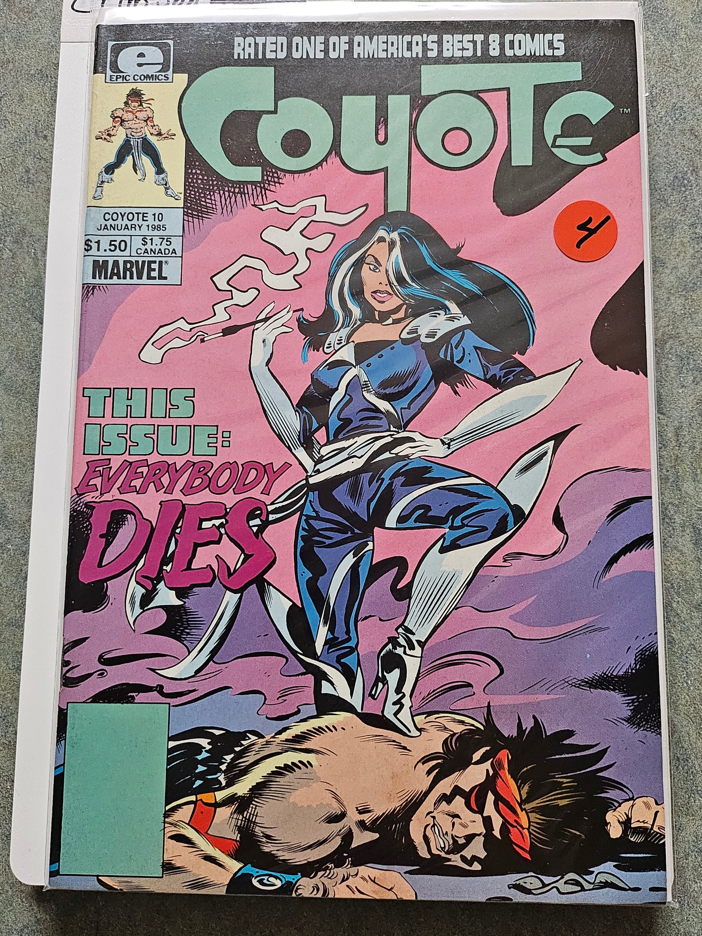 113.101 – Coyote - #10 -1985