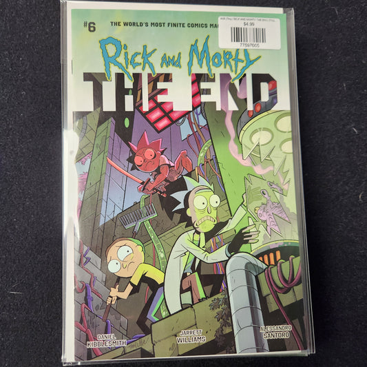 #6B (Troy) RICK AND MORTY THE END (TROY LITTLE VAR OF 6)