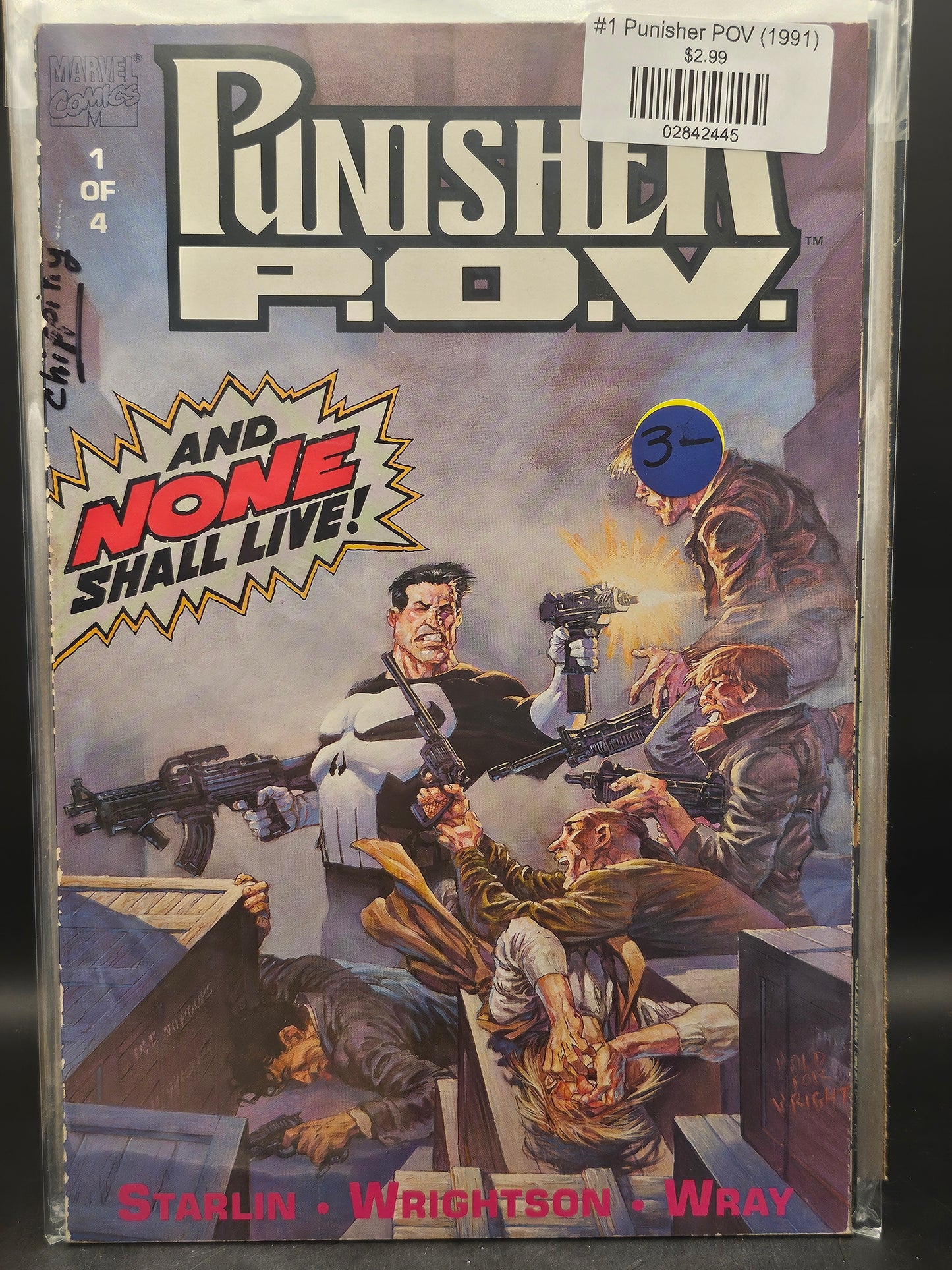 #1 Punisher POV (1991)