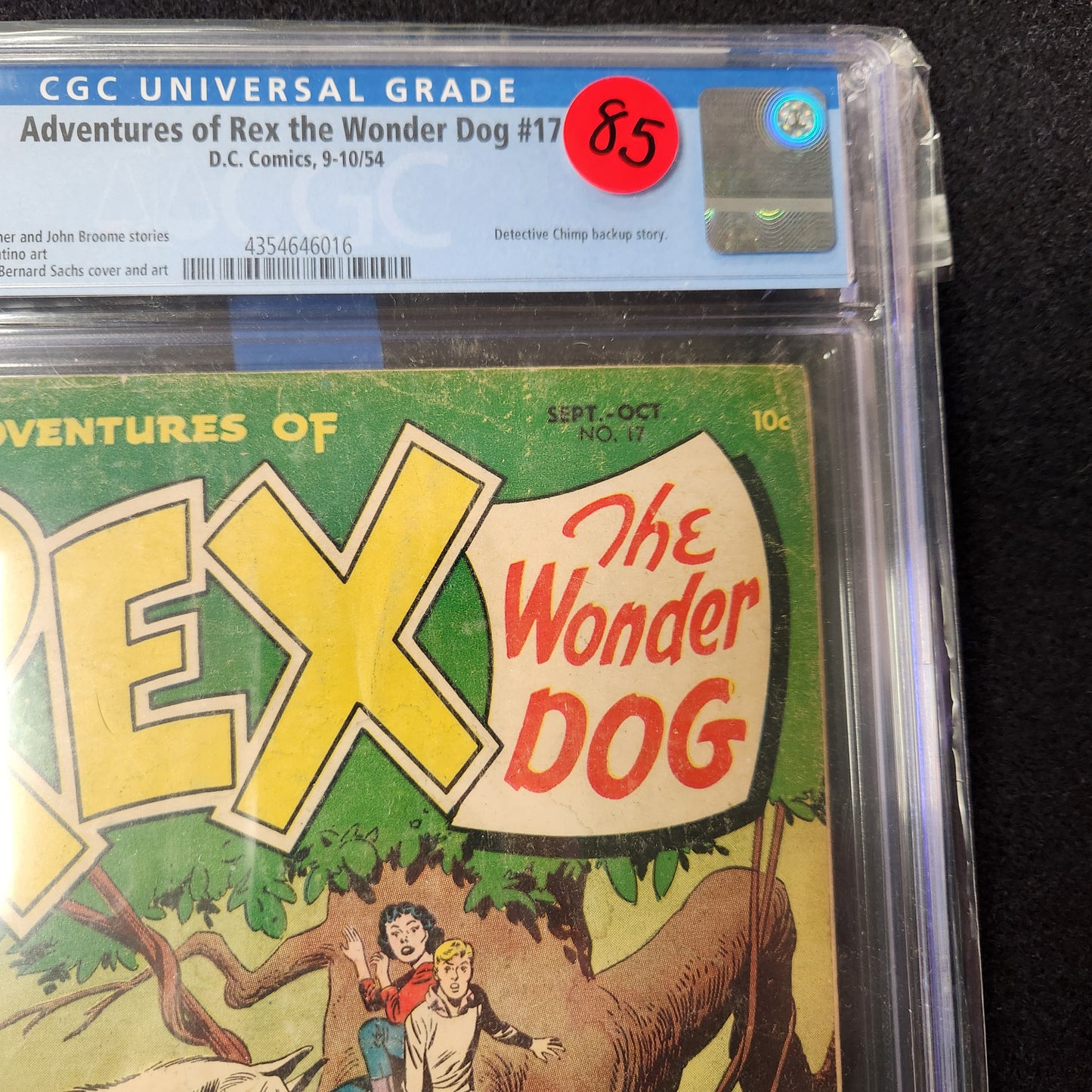 Adventures of Rex the Wonder Dog Slab #17 (1954)