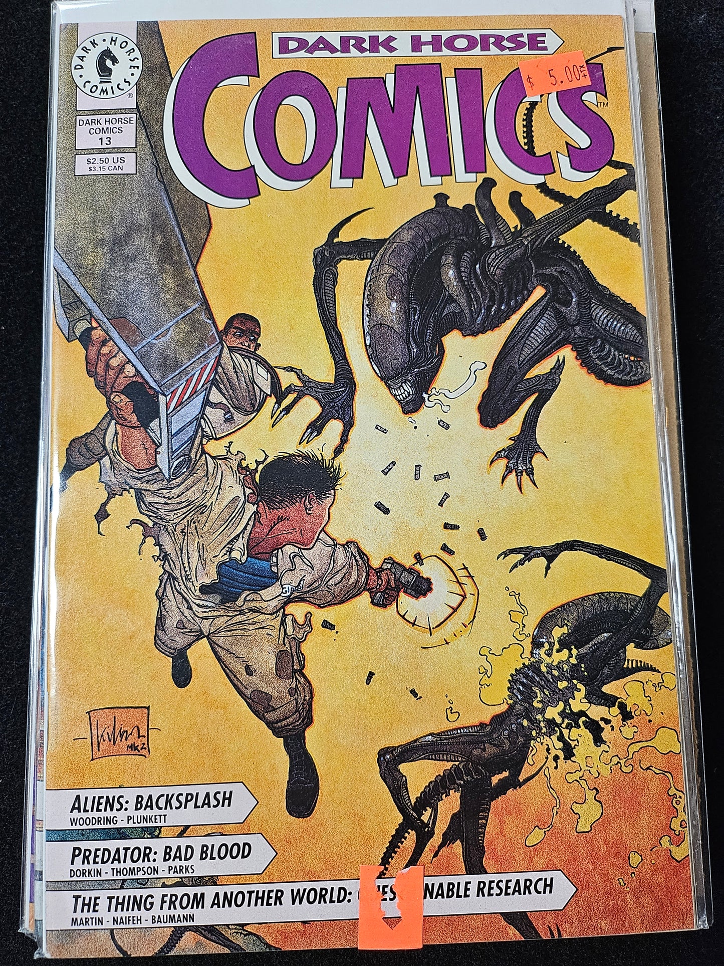 102.106 - Dark Horse Comics - #13