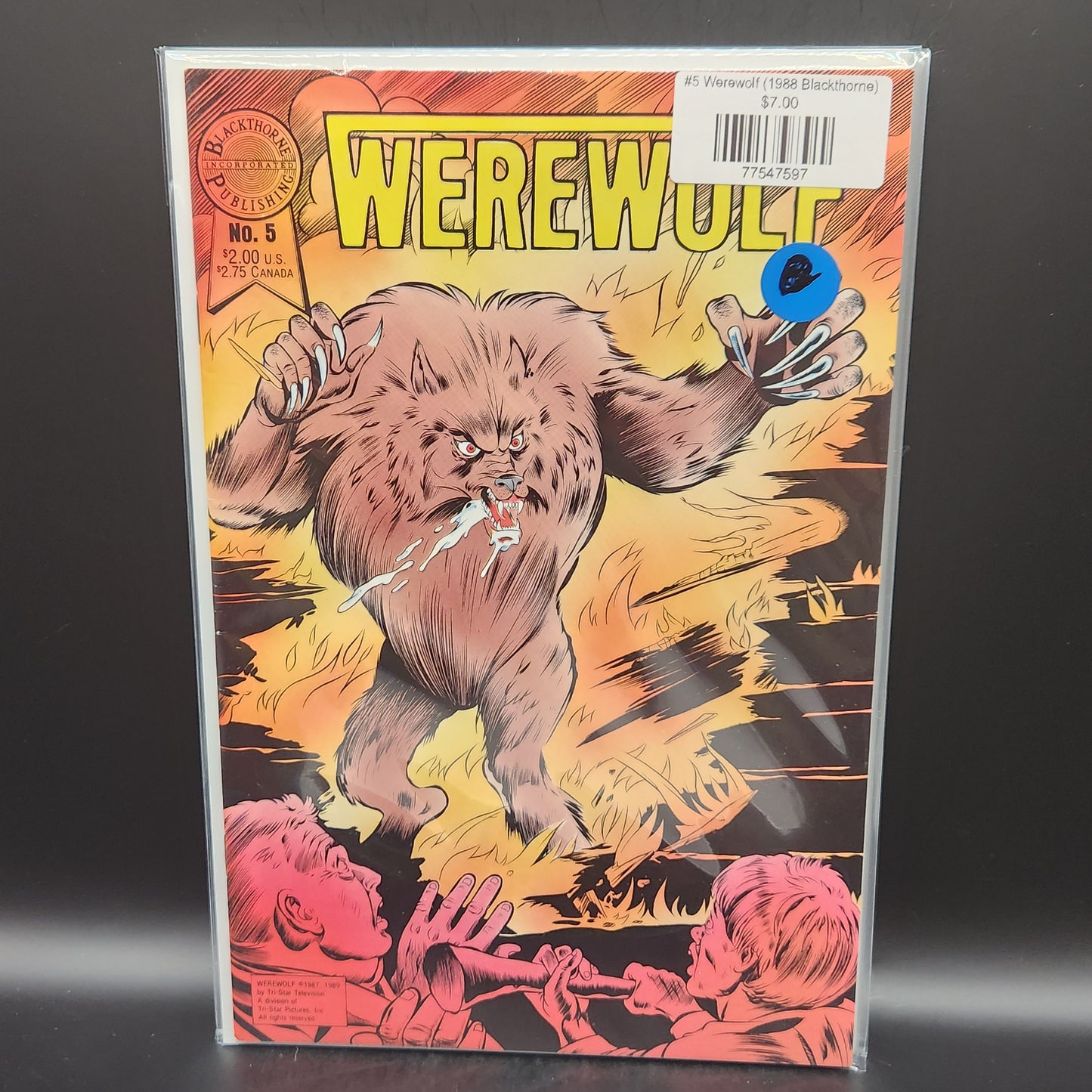 #5 Werewolf (1988 Blackthorne)