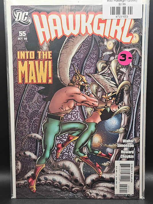#55 Hawkgirl (2006)