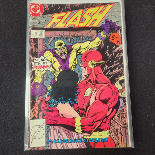 101.102 – #5 - Flash -1987-2009 v2