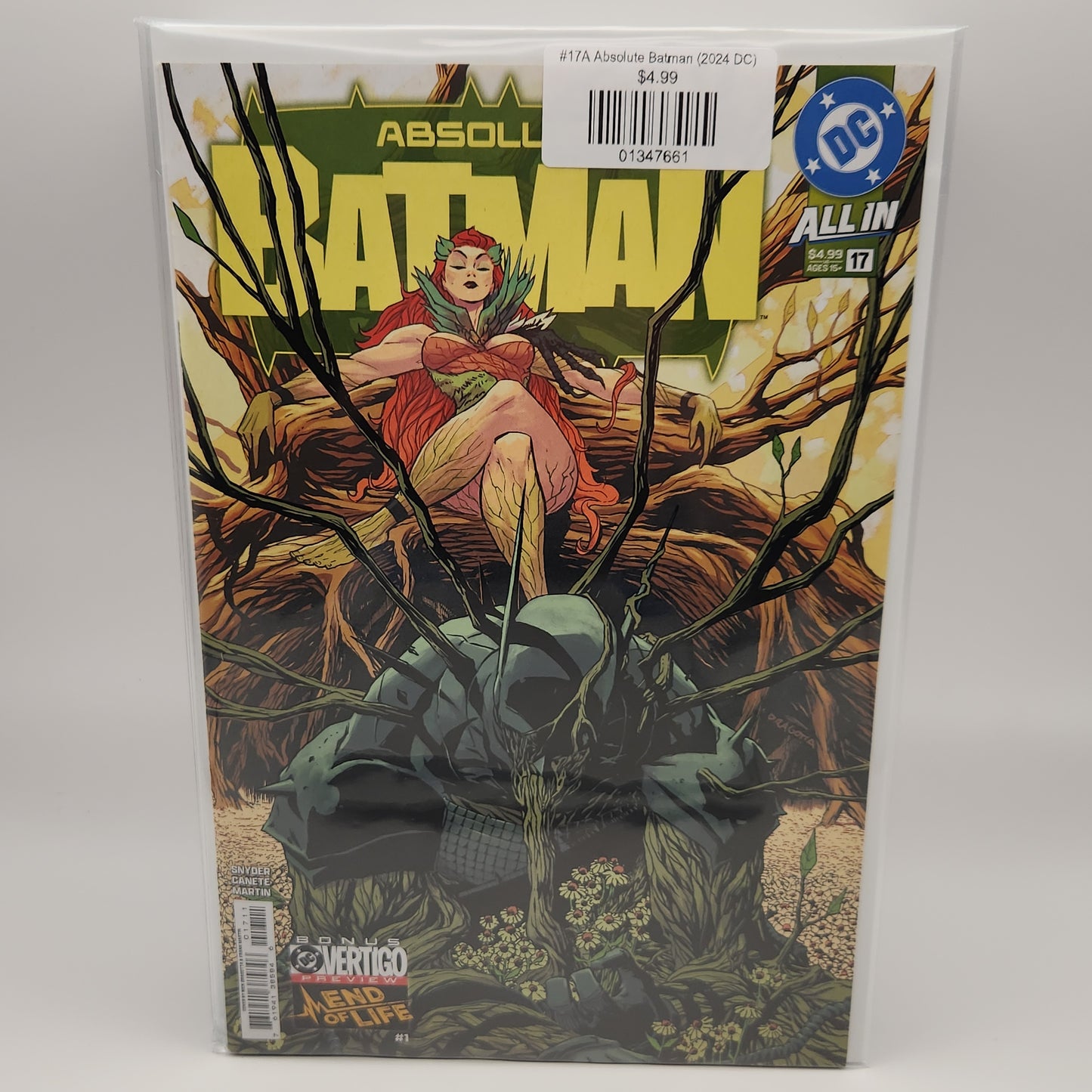 #17A Absolute Batman (2024 DC)