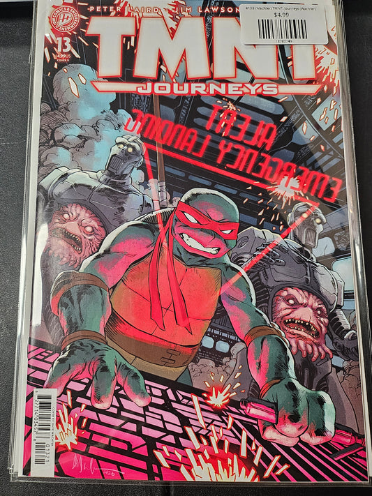 #13B (Wachter) TMNT: Journeys (Wachter)