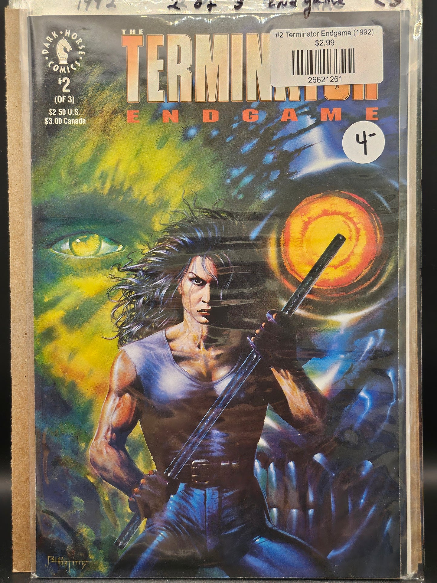 #2 Terminator Endgame (1992)