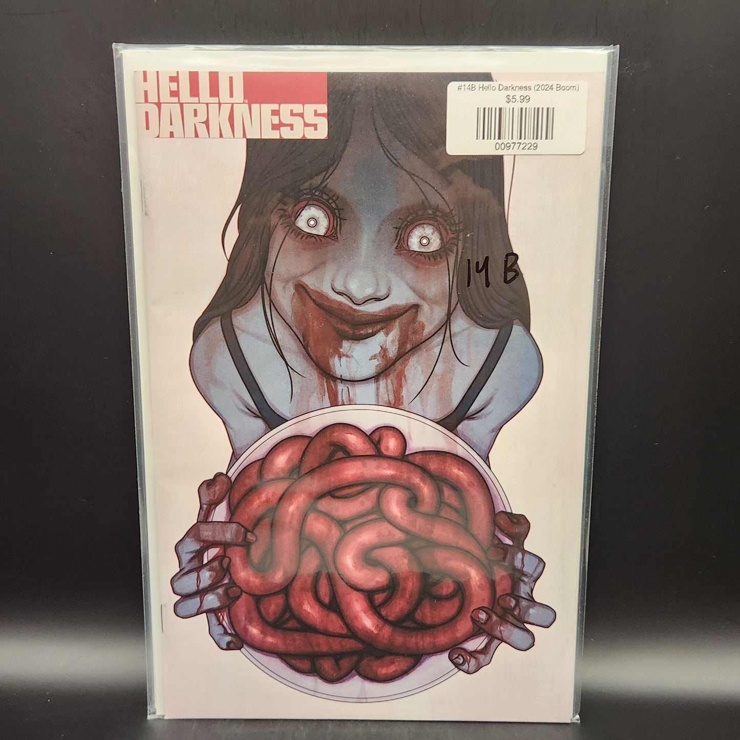 #14B Hello Darkness (2024 Boom)