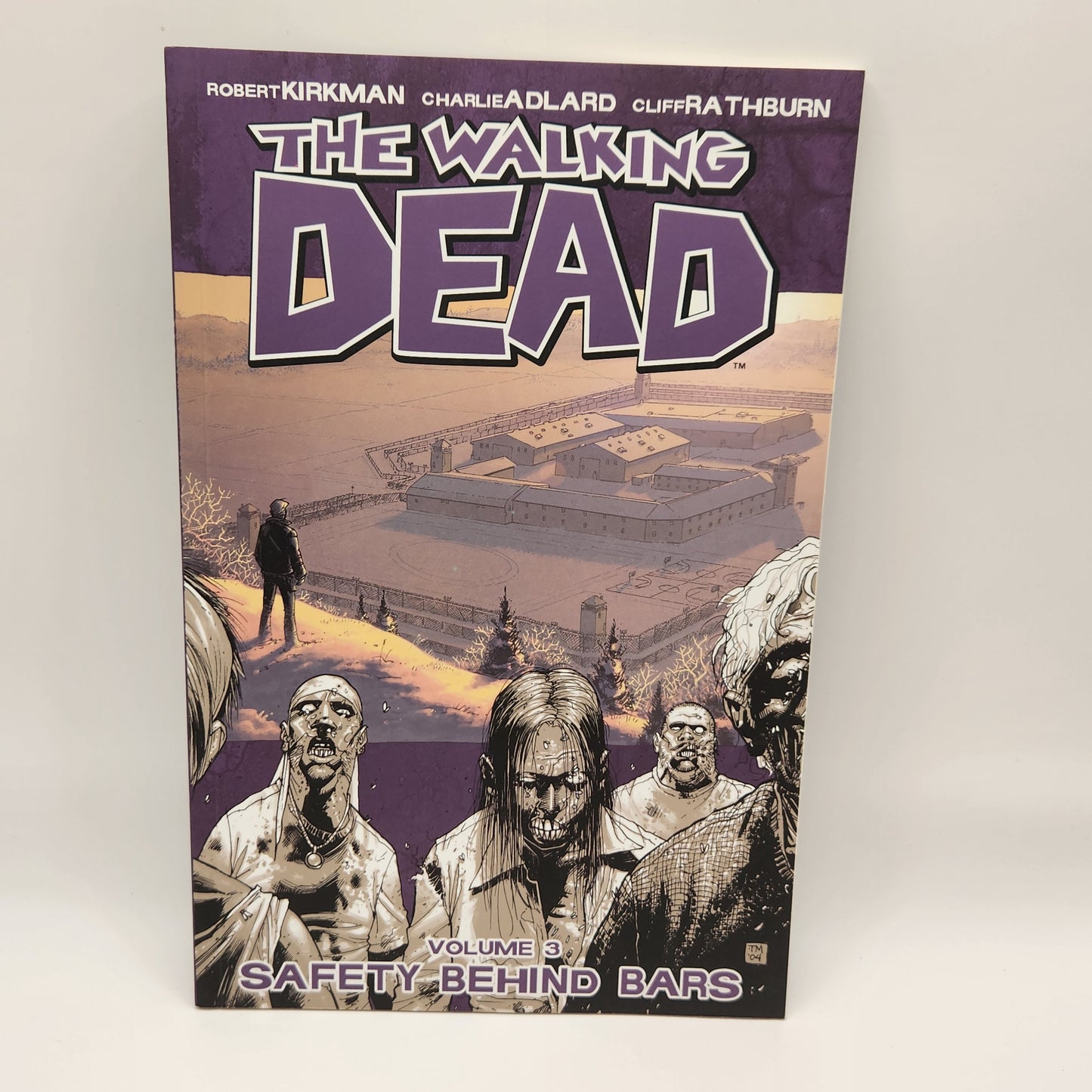 #3 Walking Dead TPB (2004-2019 Image)